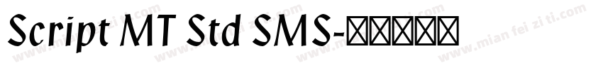 Script MT Std SMS字体转换